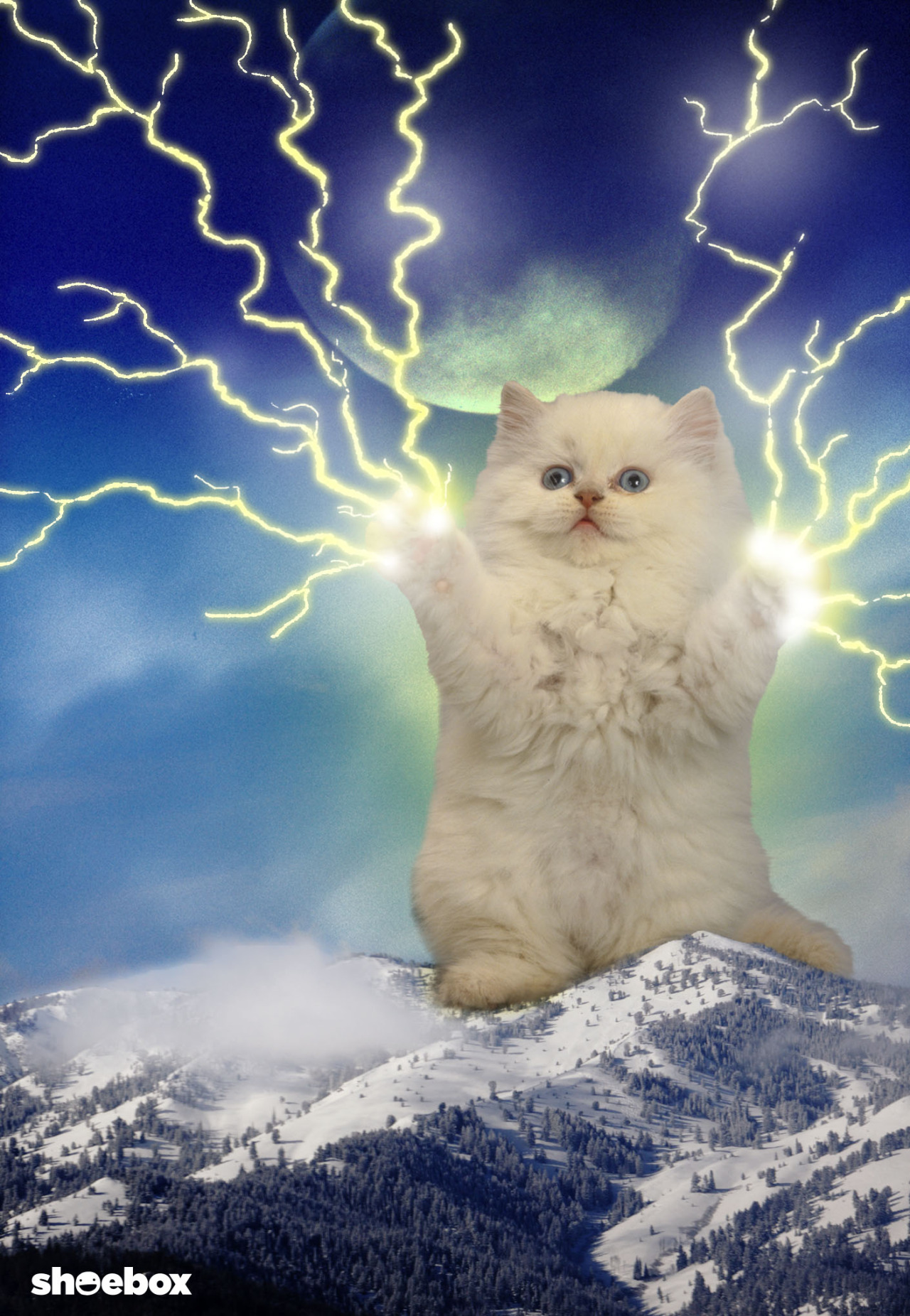 Kitten with lightning